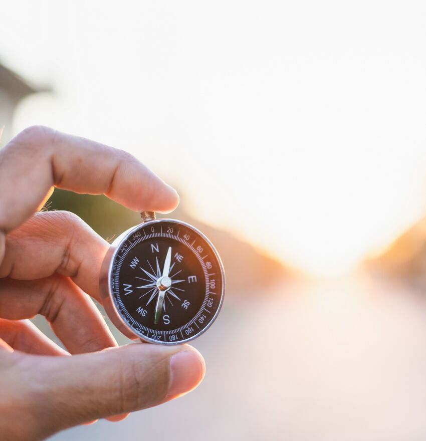 Programm Freie Wähler - Wir für Pirna e.V.