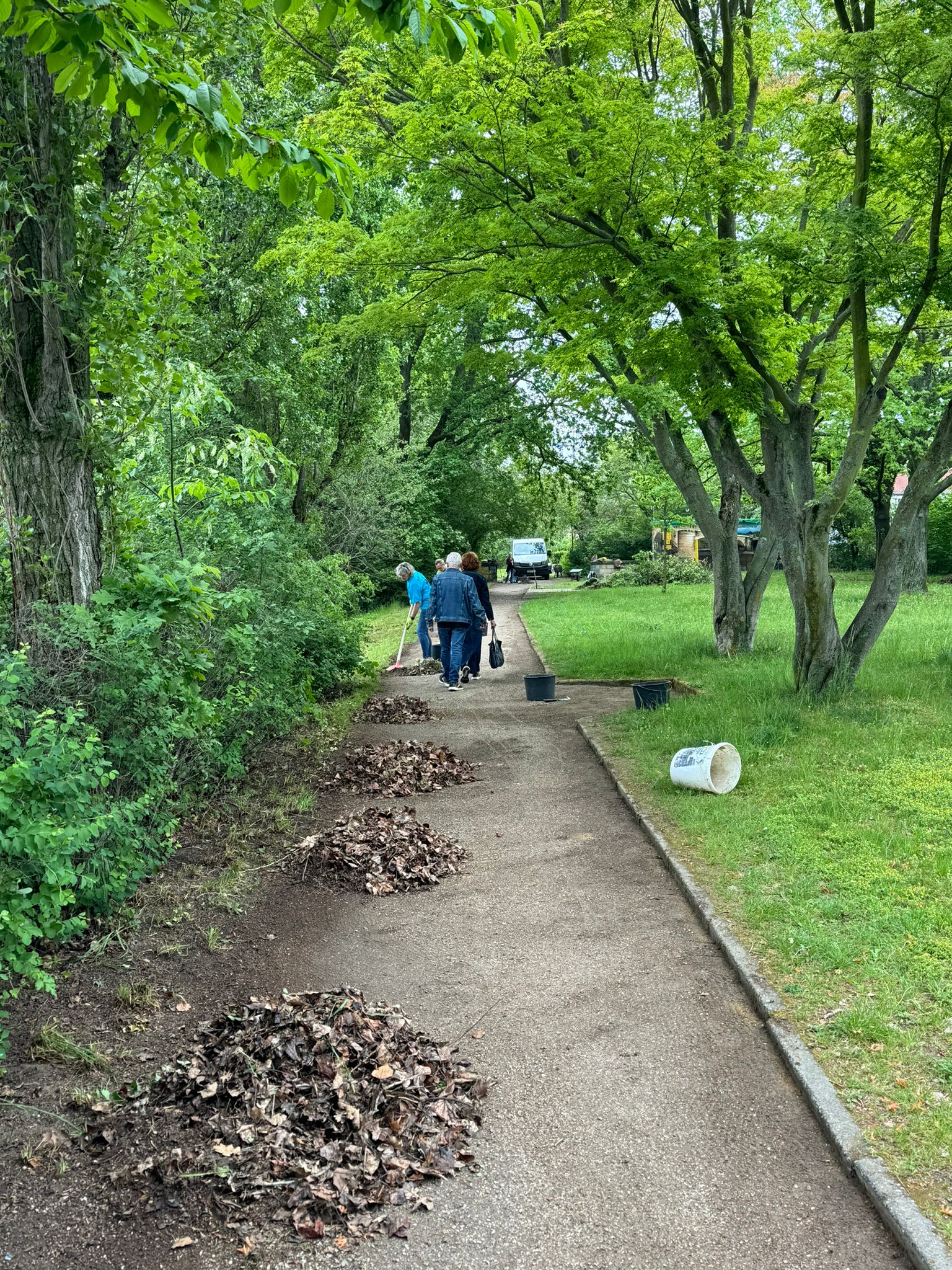 Anpacken - mit euch für Pirna im Brückenpark: 2. Teil 2024